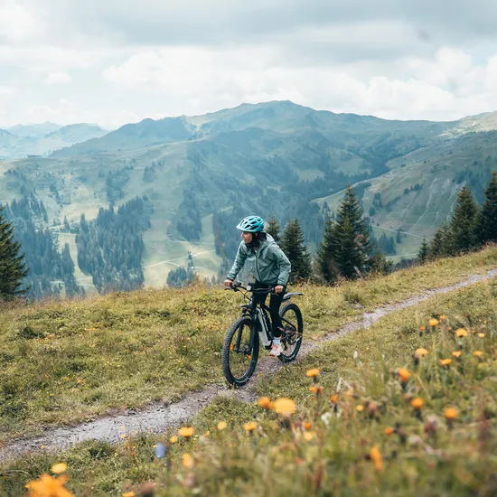 mountainbiken-in-damuels_c_robert-bohnke-damuels-faschina-tourismus.jpg