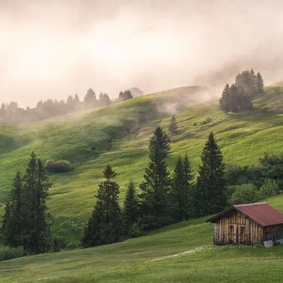 damuels_uga_c_michael_meusburger__bregenzerwald_tourismus.jpg