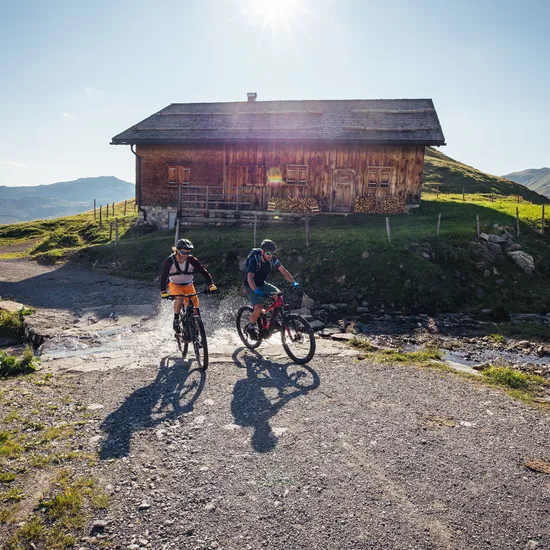 mountainbiken-in-damuels_c_sebastian-stiphout-bregenzerwald-tourismus.jpg