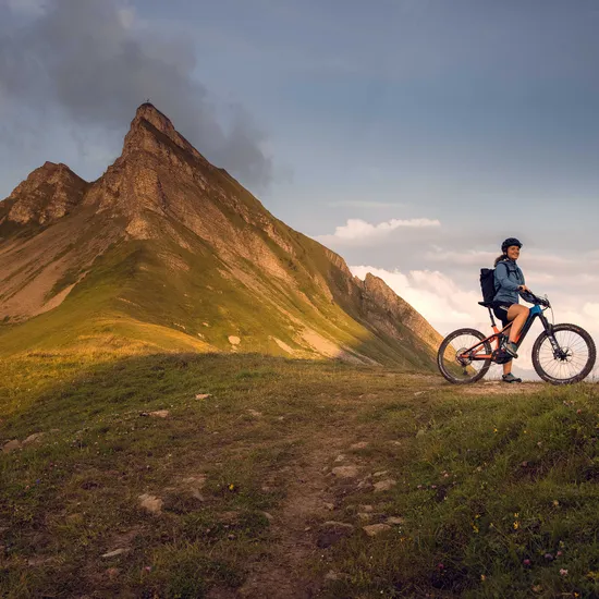 mountainbiken-am-fusse-der-damuelser-mittagspitze_c_tom-klocker-damuels-faschina-tourismus.jpg