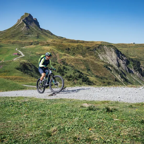 mountainbiken-am-fusse-der-damuelser-mittagspitze_c_sebastian-stiphout-bregenzerwald-tourismus.jpg