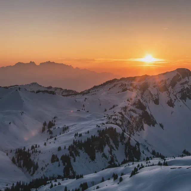 sonnenuntergang_-gesehen-vom-portlahorn_c_michael-meusburger-bregenzerwald-tourismus.jpg