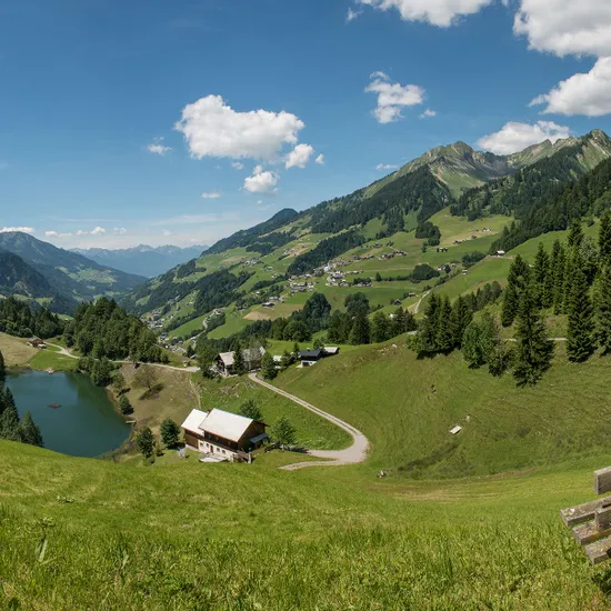 sommerlandschaft-damuels-faschina_c_huber-images-damuels-faschina-tourismus.jpg